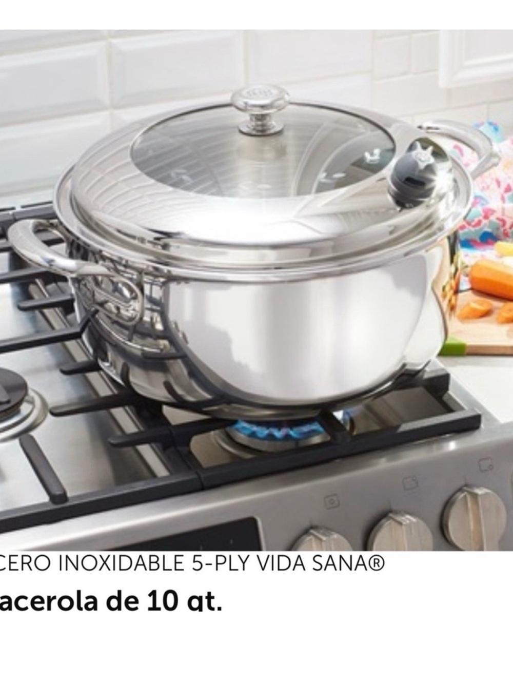 Princess House Stainless Steel 10-Quart Cacerola - Silver